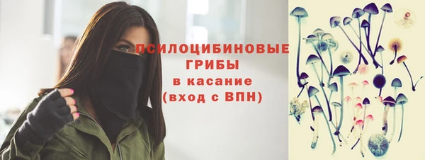 СК Алексин