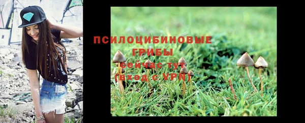 экстази Алзамай
